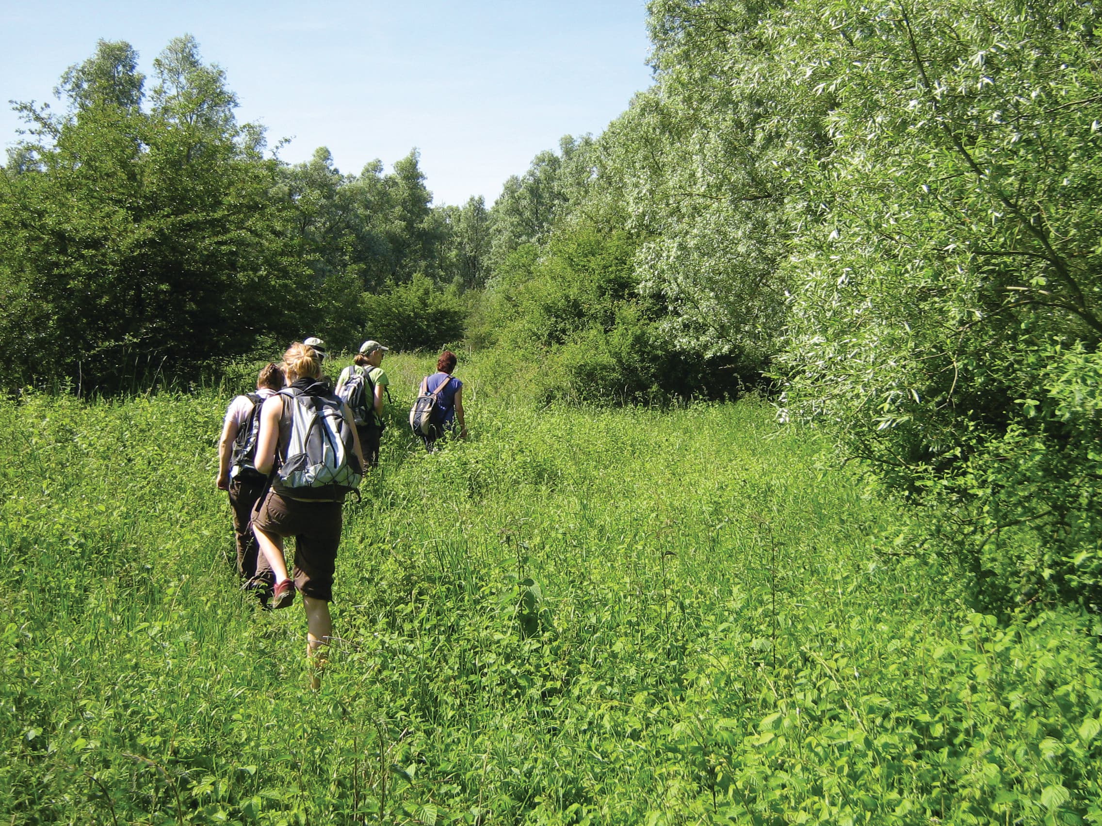Deelnemers lopen door hoog gras langs een struinpad.